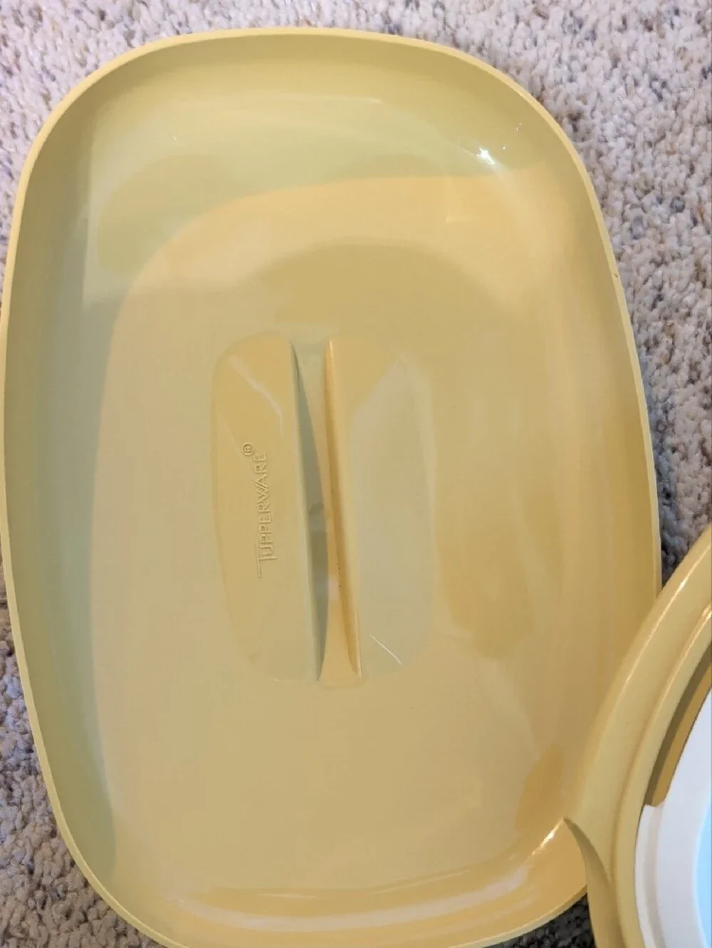 Tupperware snap lid